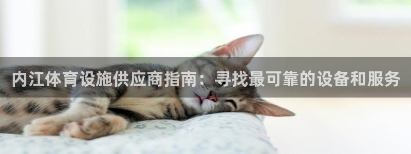 意昂体育3招商电话：内江体育设施供应商指南：寻找最可