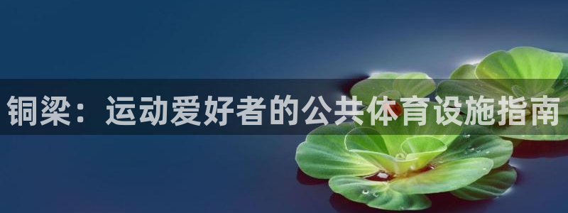 意昂3娱乐：铜梁：运动爱好者的公共体育设施指南