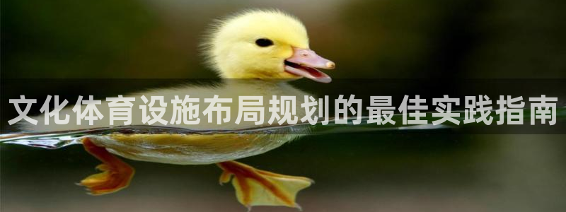 意昂3官网：文化体育设施布局规划的最佳实践指南