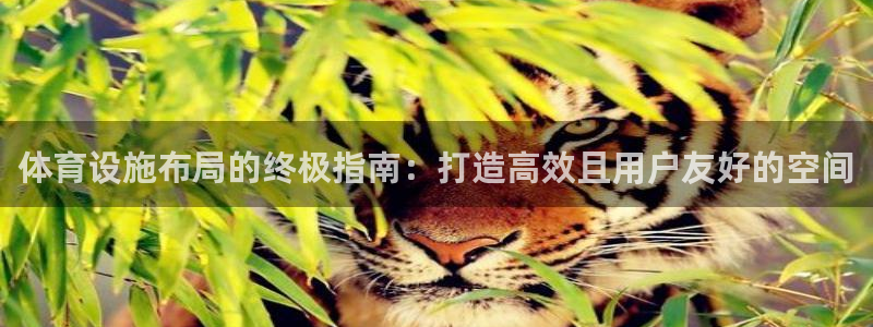 意昂体育3平台注册：体育设施布局的终极指南：打造高效