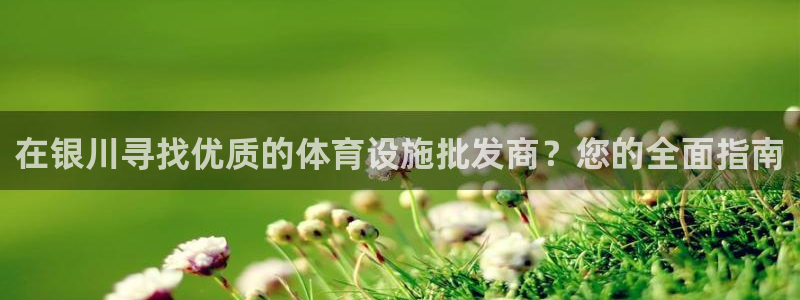 意昂3集团官网首页：在银川寻找优质的体育设施批发商？