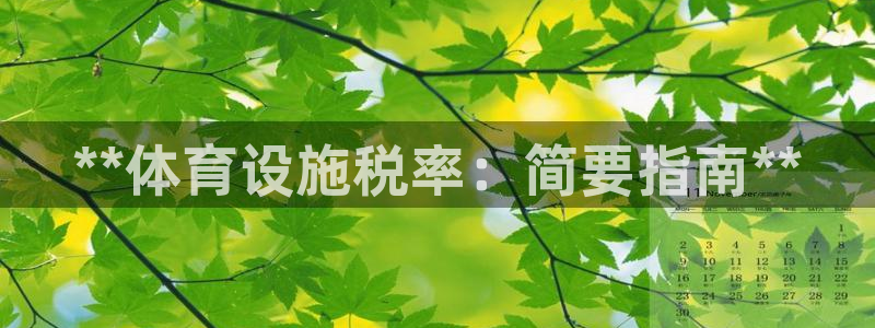 意昂体育3平台APP：**体育设施税率：简要指南**