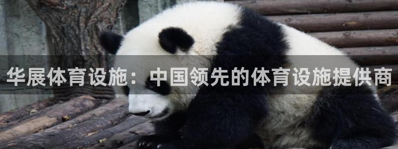 意昂体育3招商电话号码查询：华展体育设施：中国领先的