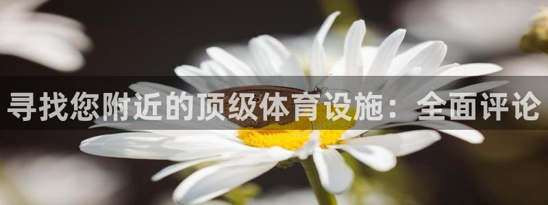 海南意昂体育3：寻找您附近的顶级体育设施：全面评论
