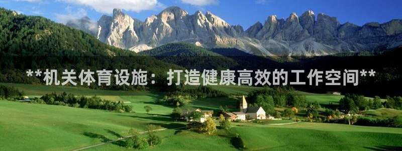 德国意昂3集团：**机关体育设施：打造健康高效的工作