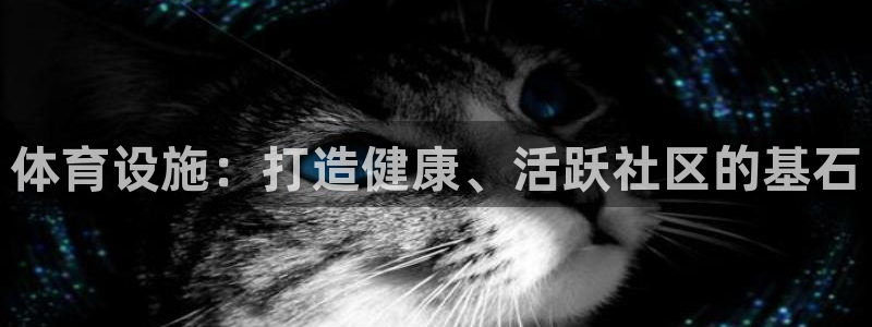 意昂3娱乐平台：体育设施：打造健康、活跃社区的基石