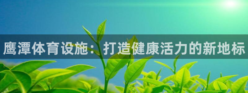 意昂体育3软件：鹰潭体育设施：打造健康活力的新地标