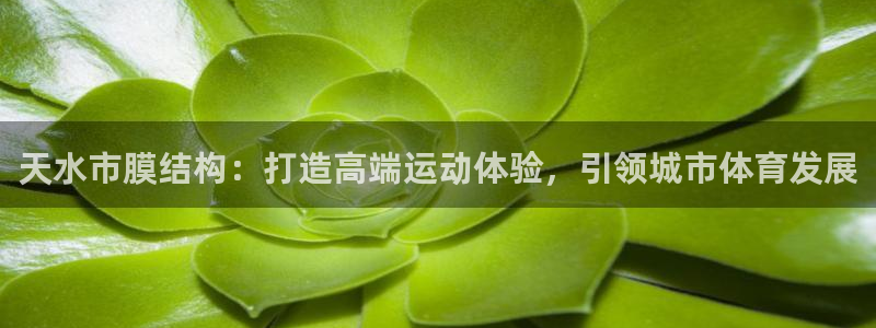 意昂3官方：天水市膜结构：打造高端运动体验，引领城市