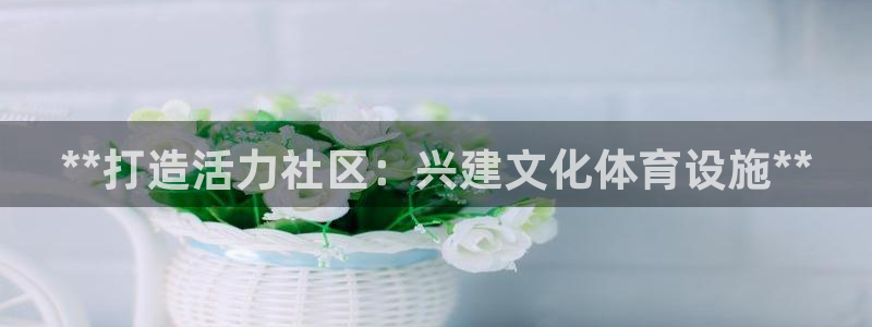 意昂3娱乐40996：**打造活力社区：兴建文化体育