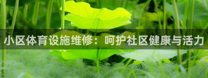 意昂3官网：小区体育设施维修：呵护社区健康与活力