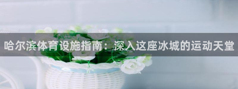 意昂体育3招商电话：哈尔滨体育设施指南：深入这座冰城