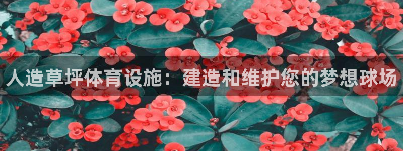 意昂3官方：人造草坪体育设施：建造和维护您的梦想球场