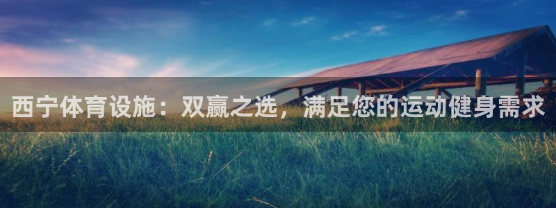 意昂体育3平台APP：西宁体育设施：双赢之选，满足您