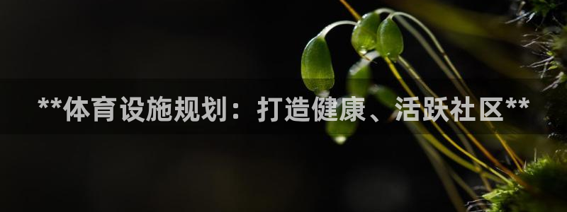 意昂体育3招商电话号码查询：**体育设施规划：打造健