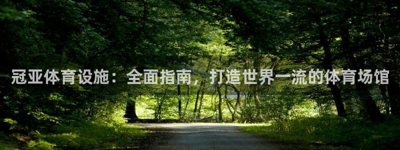意昂3集团E.ON：冠亚体育设施：全面指南，打造世界