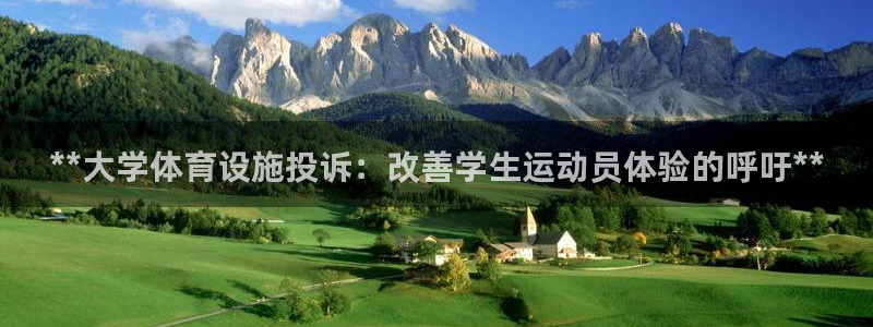 德国意昂3集团