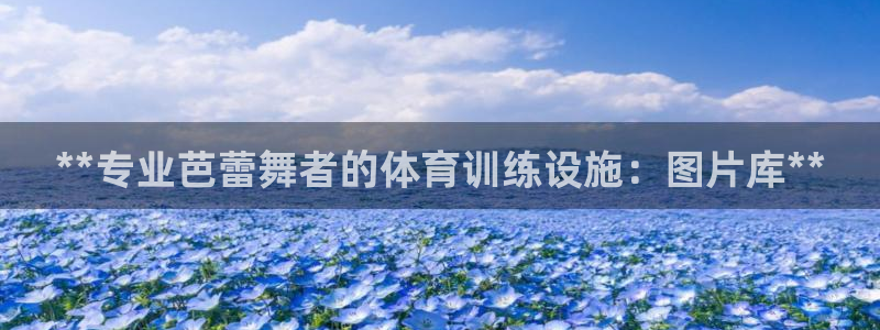 意昂体育3软件：**专业芭蕾舞者的体育训练设施：图片