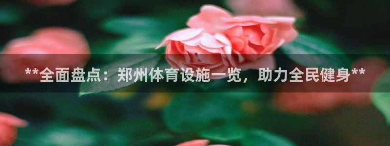 海南意昂体育3发展怎么样：**全面盘点：郑州体育设施