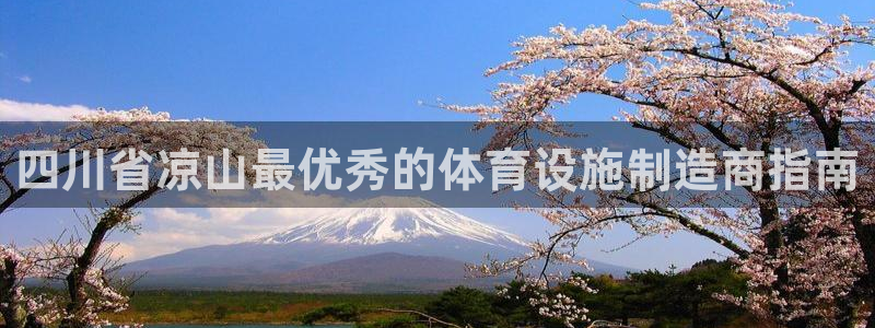德国意昂3集团：四川省凉山最优秀的体育设施制造商指南