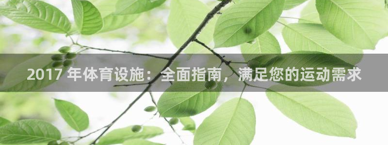 意昂平台体育：2017 年体育设施：全面指南，满足您