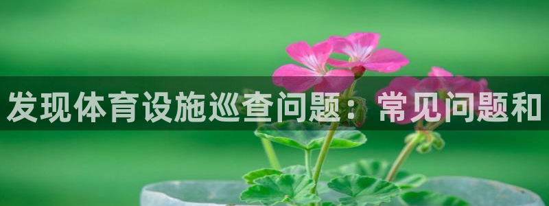 意昂3娱乐是那个系列的台子：发现体育设施巡查问题：常
