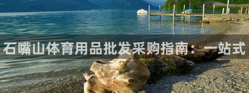 意昂体育3招商电话地址查询：石嘴山体育用品批发采购指