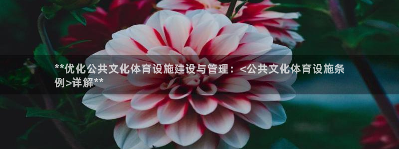 意昂3娱乐是那个系列的台子：**优化公共文化体育设施