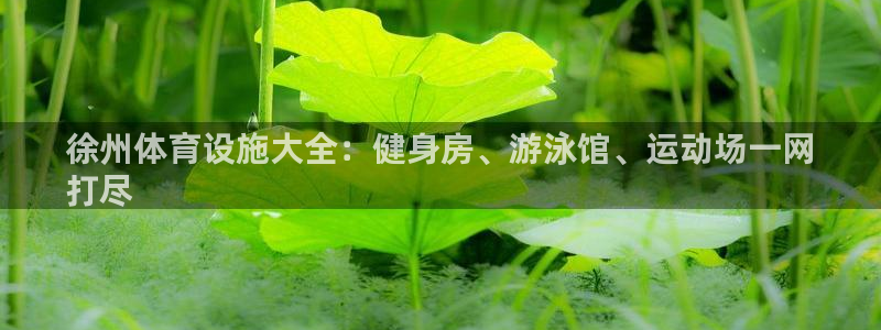 意昂体育3招商：徐州体育设施大全：健身房、游泳馆、运