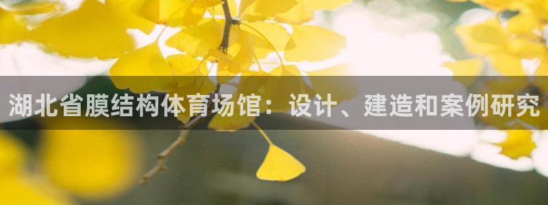 意昂体育3平台注册：湖北省膜结构体育场馆：设计、建造