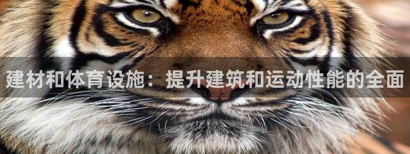 意昂3娱乐是那个系列的台子：建材和体育设施：提升建筑