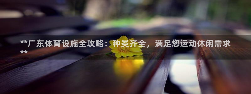 意昂平台体育：**广东体育设施全攻略：种类齐全，满足
