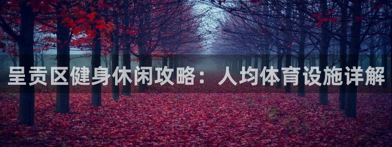 意昂体育3是干嘛的公司：呈贡区健身休闲攻略：人均体育