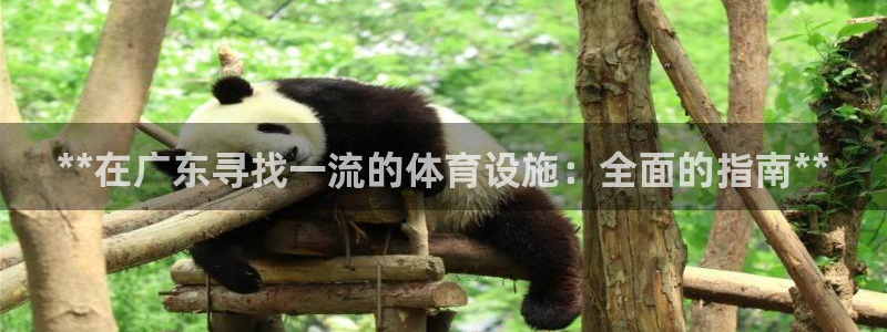 意昂3娱乐网站：**在广东寻找一流的体育设施：全面的