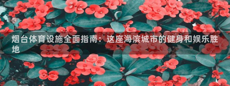 意昂体育3平台注册流程图：烟台体育设施全面指南：这座