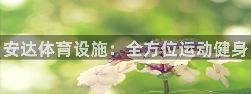 意昂3代理：安达体育设施：全方位运动健身
