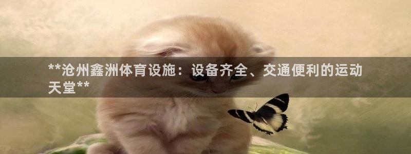 意昂3神州：**沧州鑫洲体育设施：设备齐全、交通便利