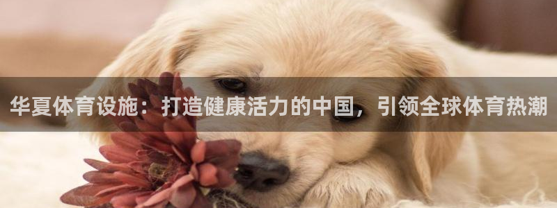 意昂3代理：华夏体育设施：打造健康活力的中国，引领全