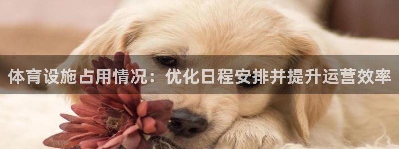 意昂体育3平台注册流程图：体育设施占用情况：优化日程