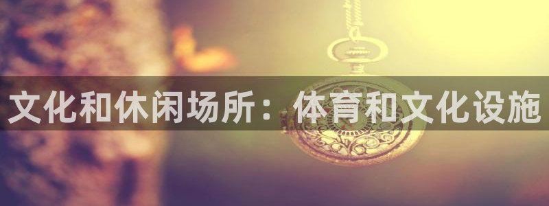 意昂3集团官网网址：文化和休闲场所：体育和文化设施