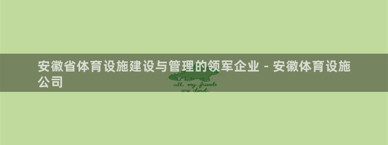 意昂体育3招商：安徽省体育设施建设与管理的领军企业 