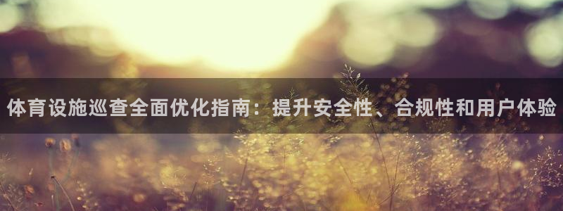 意昂体育3开户：体育设施巡查全面优化指南：提升安全性