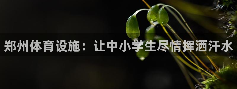 意昂3集团官网首页：郑州体育设施：让中小学生尽情挥洒
