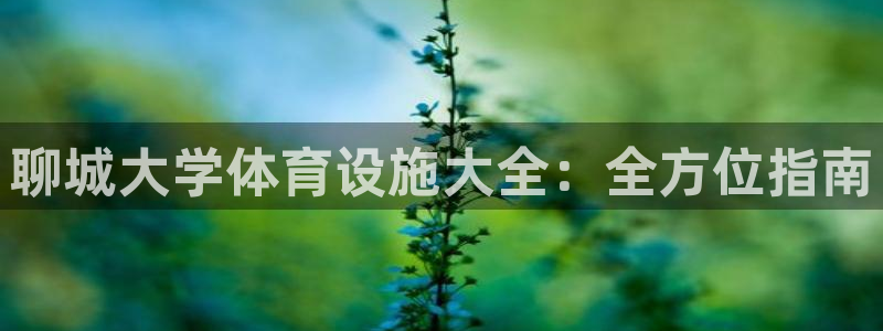 意昂3神州：聊城大学体育设施大全：全方位指南