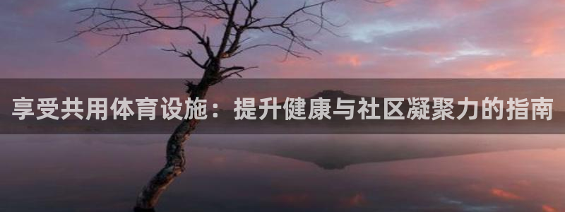 海南意昂体育3发展怎么样：享受共用体育设施：提升健康