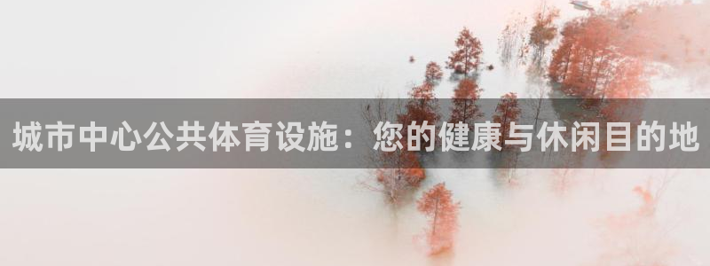 意昂体育3招商：城市中心公共体育设施：您的健康与休闲