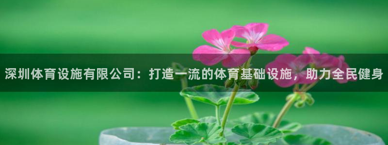 意昂3官方：深圳体育设施有限公司：打造一流的体育基础