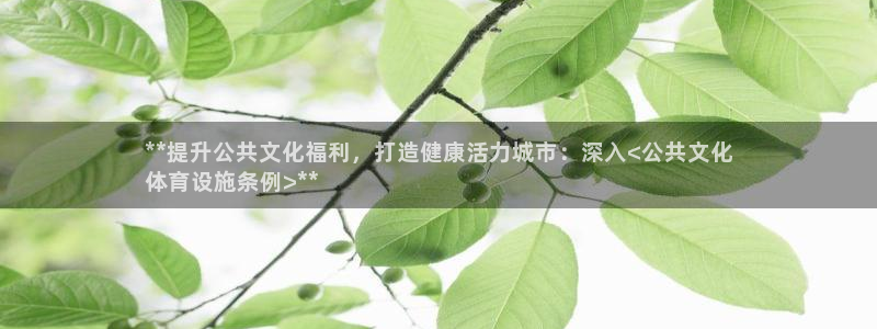 意昂体育3招商电话号码查询是多少：**提升公共文化福