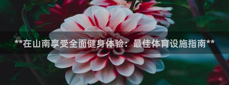 意昂3集团官网网址：**在山南享受全面健身体验：最佳