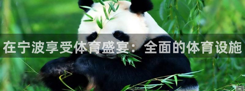 意昂3集团官网首页：在宁波享受体育盛宴：全面的体育设