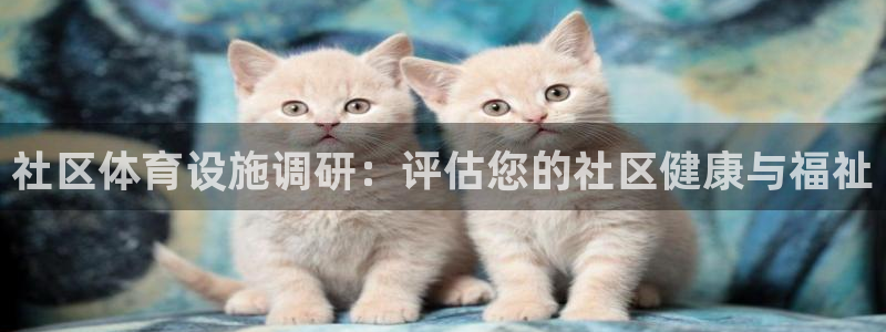 意昂体育3平台注册要钱吗：社区体育设施调研：评估您的社区健康